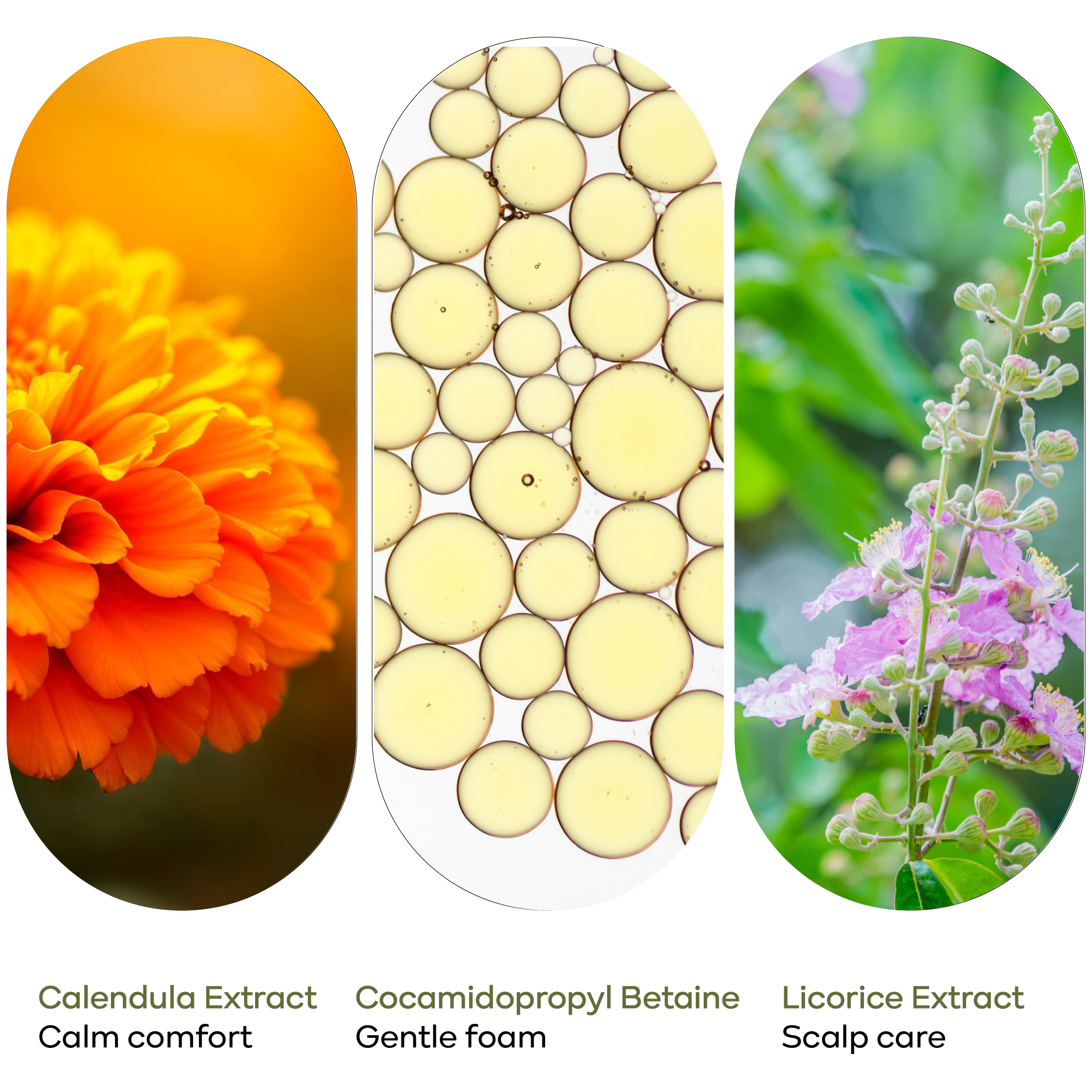 SHAMPOO - KronoKlay - 40 ml