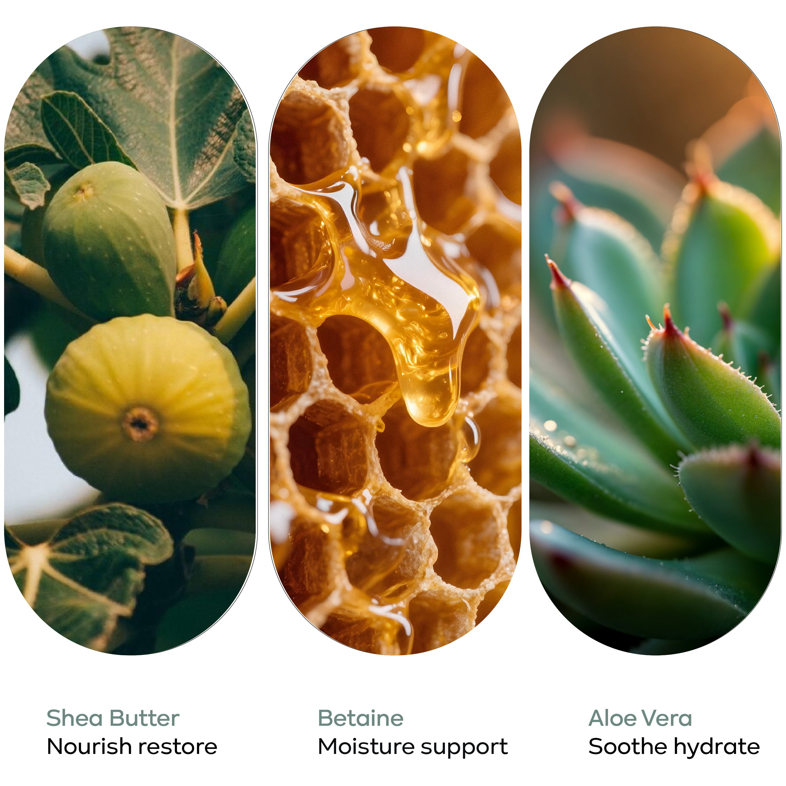 HAIR CONDITIONER - KronoKlay - 40 g