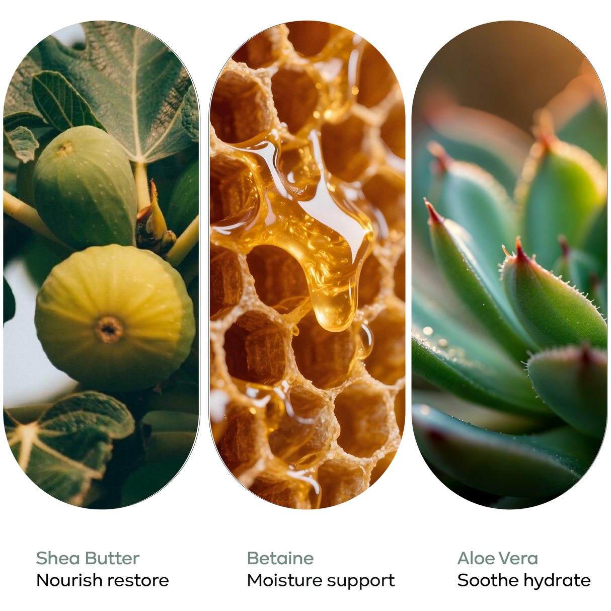 HAIR CONDITIONER - KronoKlay - 40 g