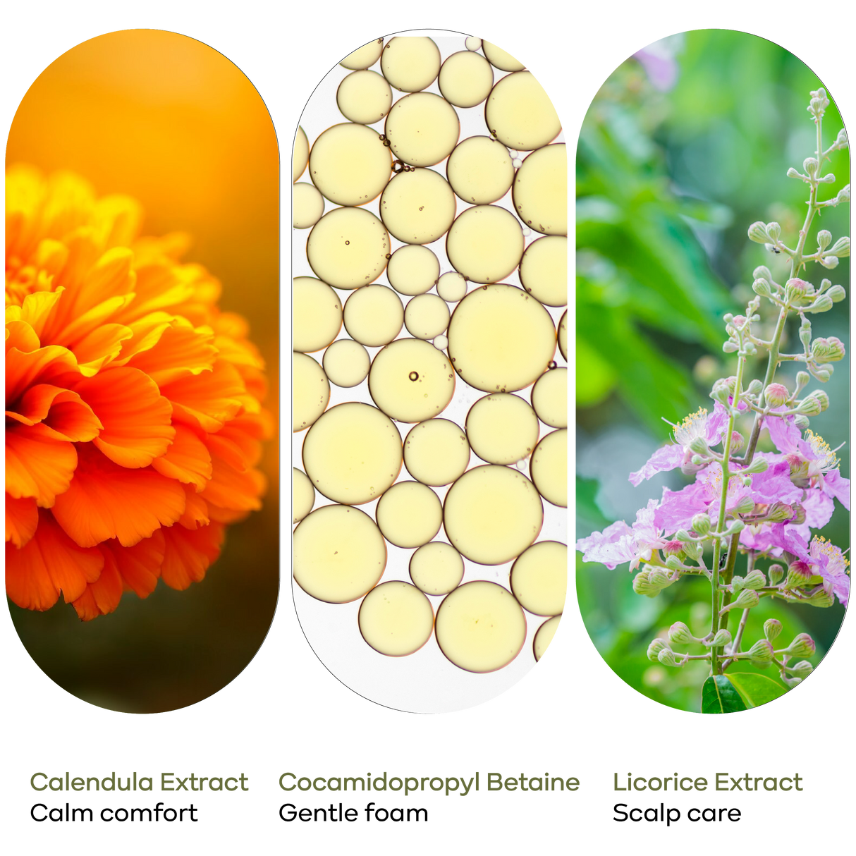 SHAMPOO - KronoKlay - 550 ml