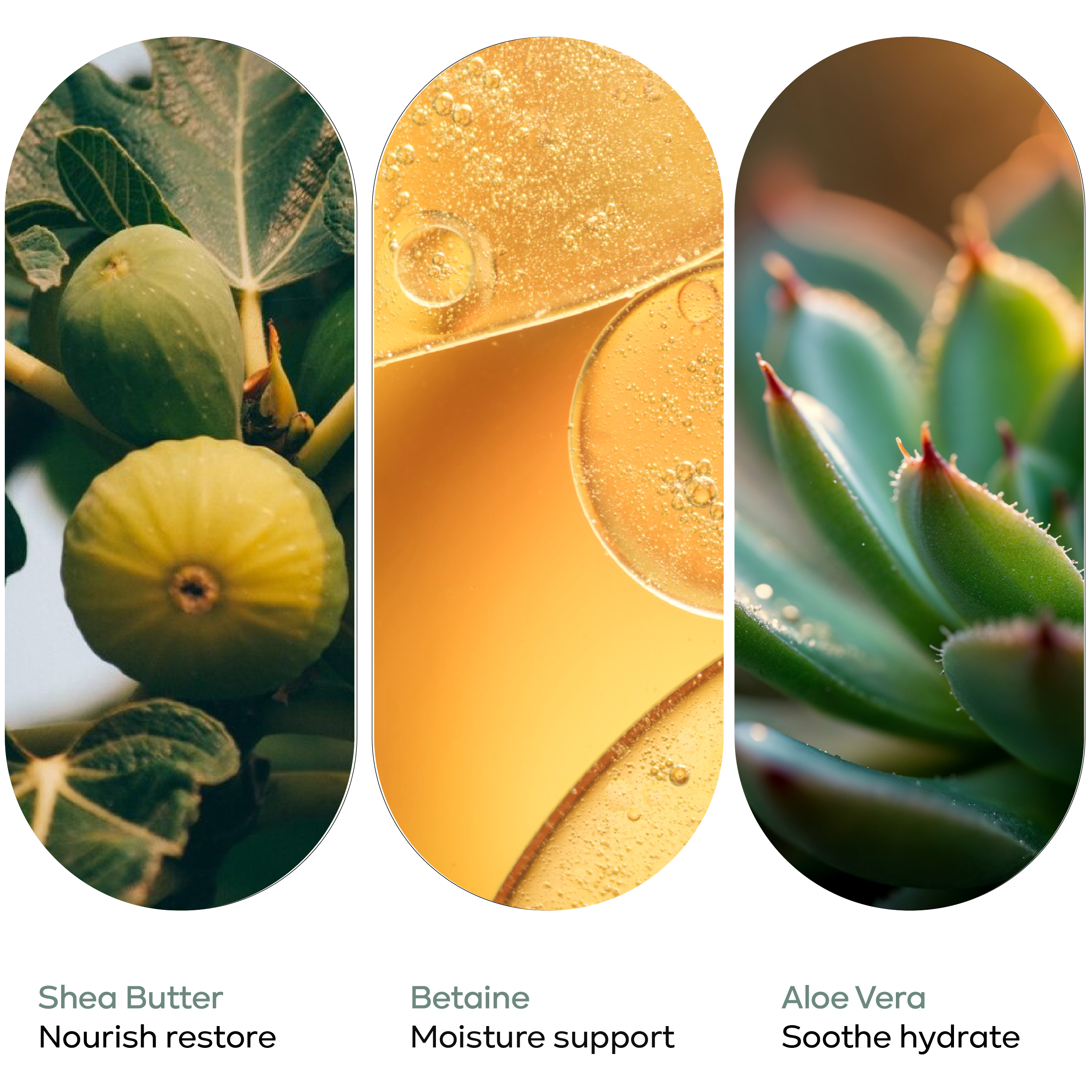 Body Butter - Kronoklay - 550 ml with Wall Dispenser Holder