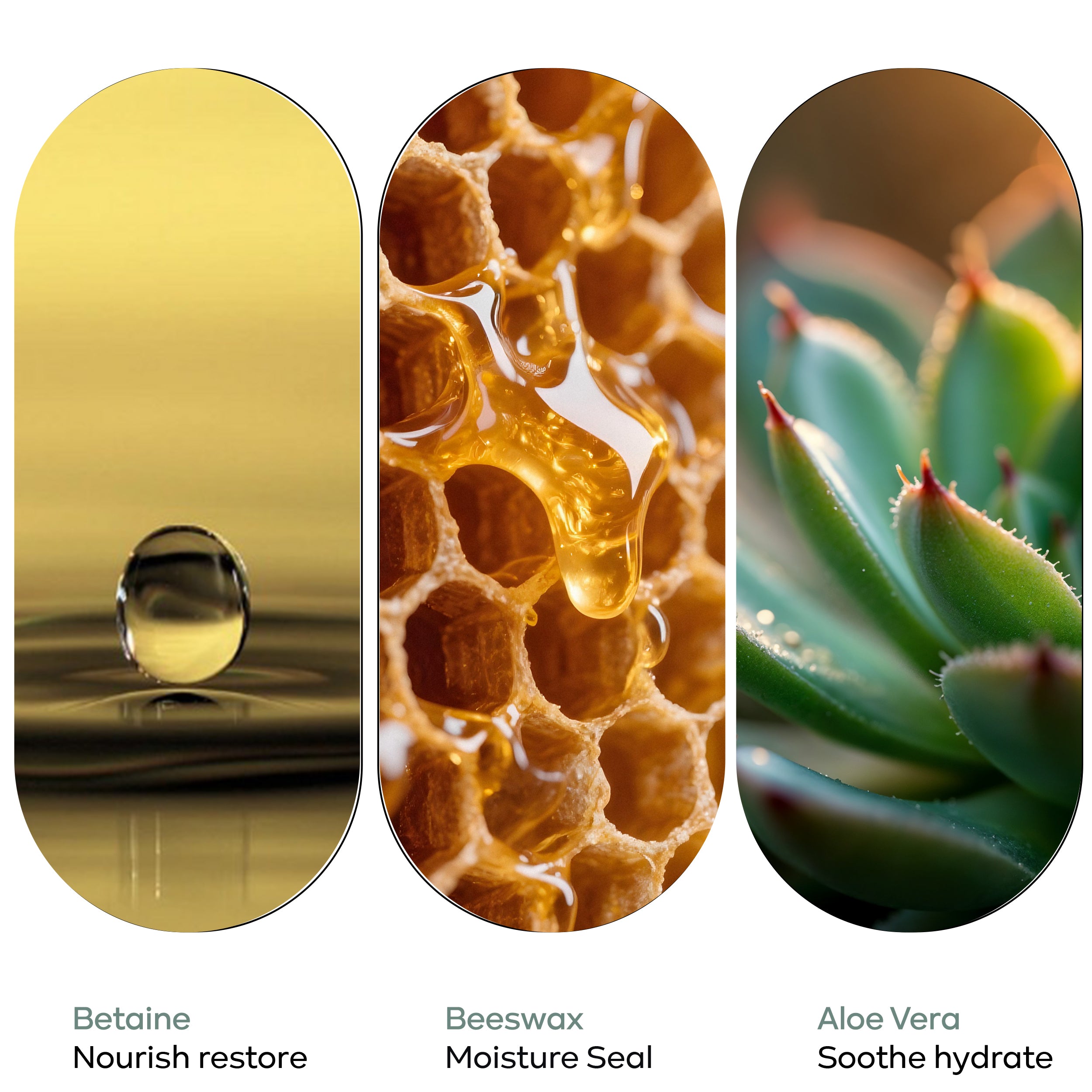 Hair Conditioner - Kronoklay - 550 ml with Wall Dispenser Holder